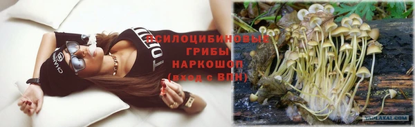 ГАЛЛЮЦИНОГЕННЫЕ ГРИБЫ Алексин