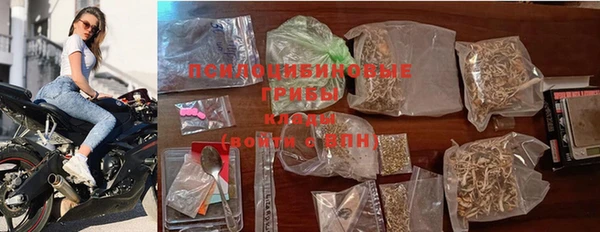 ГАЛЛЮЦИНОГЕННЫЕ ГРИБЫ Алексин