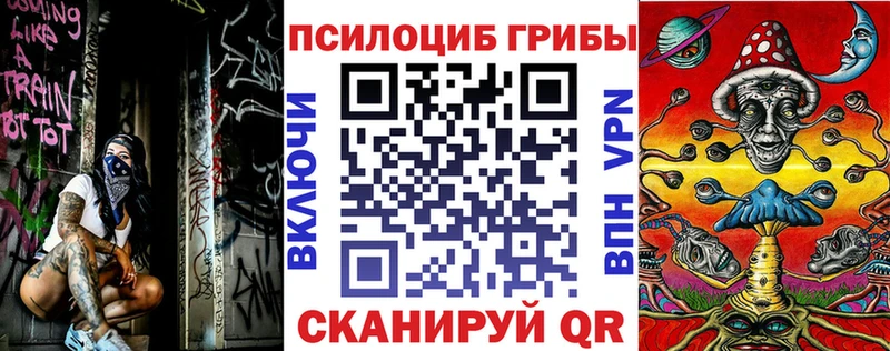 МЕГА зеркало  Дудинка  Галлюциногенные грибы Cubensis 